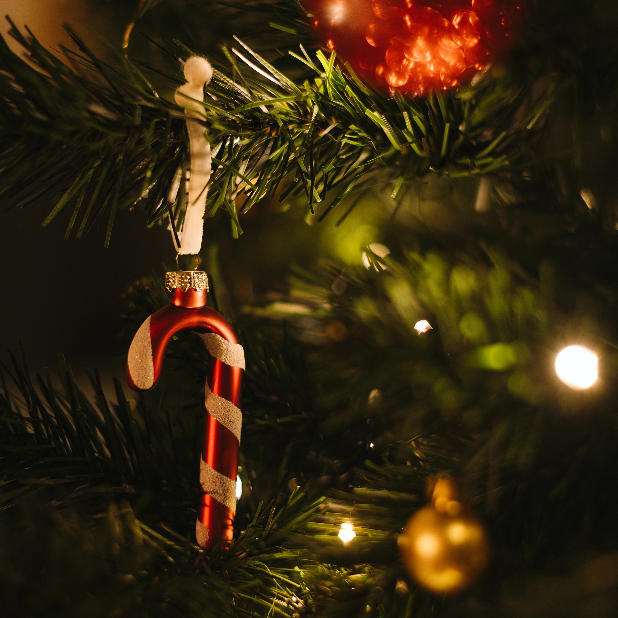 Adventskalender | Weihnacht | Art of Jane | Westerwald