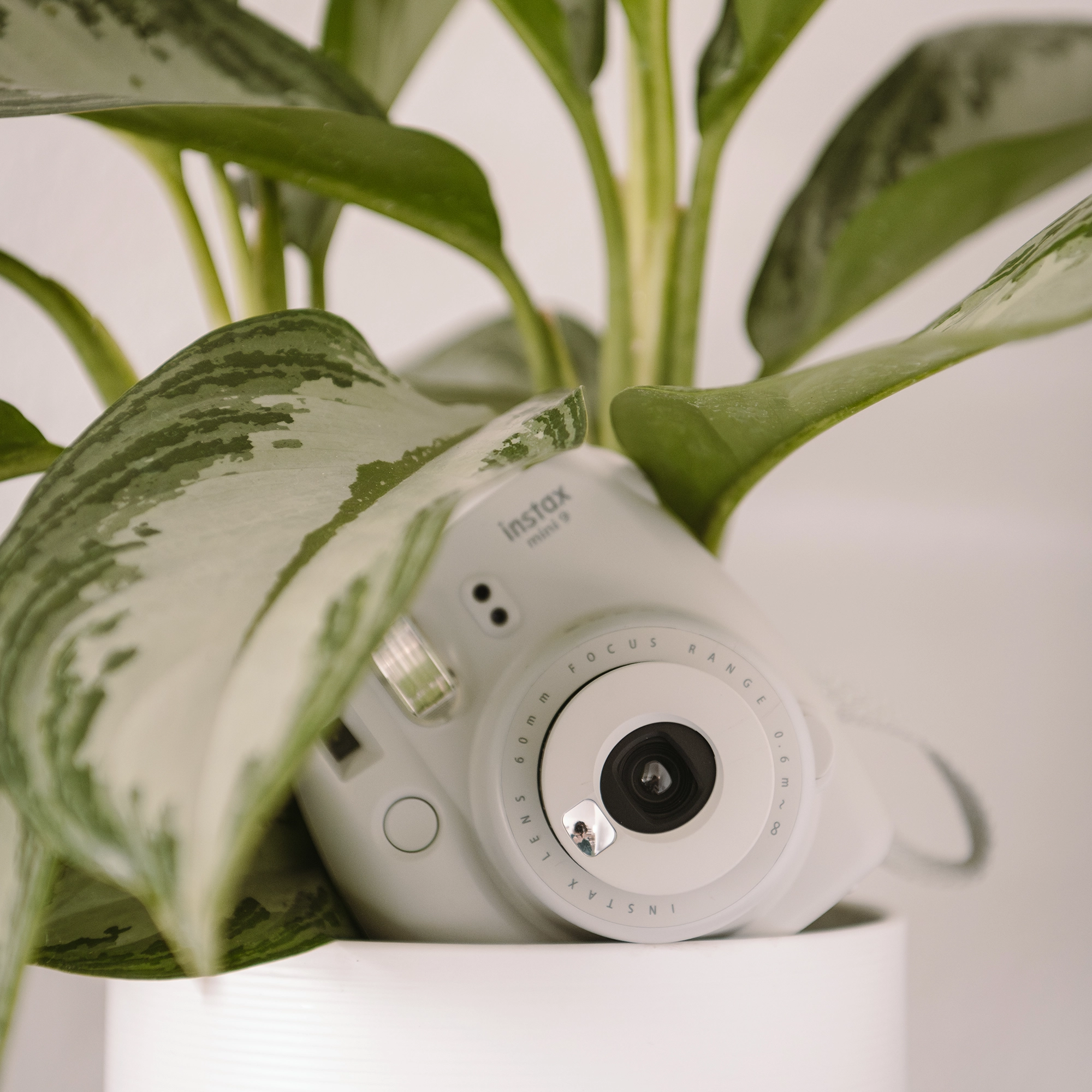 Foto-Challenge | Fotograf